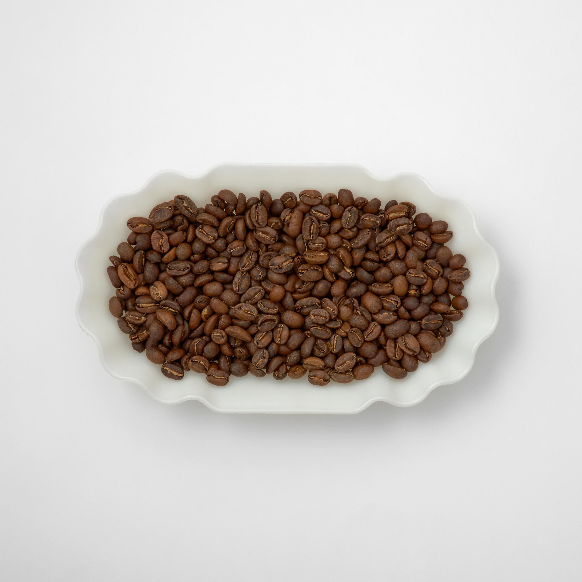 coffee Incubator